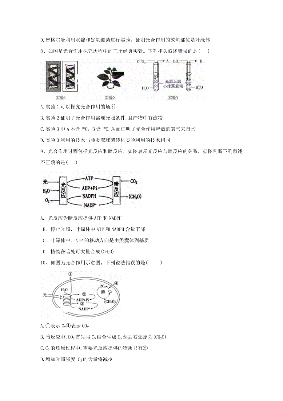 2021年高考生物一轮复习 第10讲 光合作用的探究历程与基本过程跟踪练（含解析）.doc_第3页