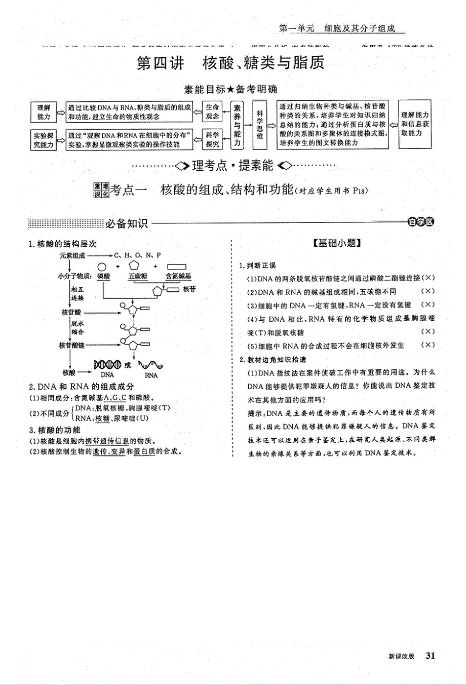 2021年高考生物一轮复习 第1单元 细胞及其分子组成 第4讲 核酸、糖类与脂质 考点1 核酸的组成、结构和功能教案（PDF）.pdf_第1页