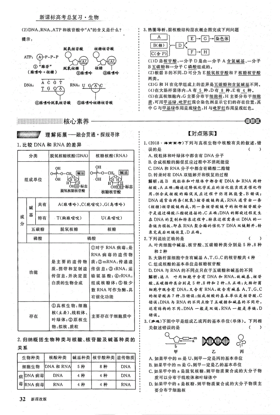 2021年高考生物一轮复习 第1单元 细胞及其分子组成 第4讲 核酸、糖类与脂质 考点1 核酸的组成、结构和功能教案（PDF）.pdf_第2页