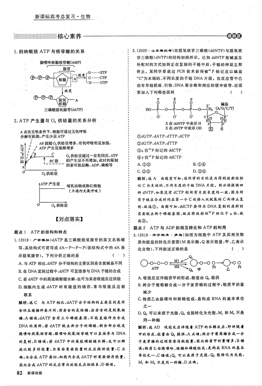 2021年高考生物一轮复习 第3单元 细胞的能量供应和利用 第2讲 ATP与细胞呼吸 考点1 ATP的结构、功能和利用教案（PDF）.pdf_第2页