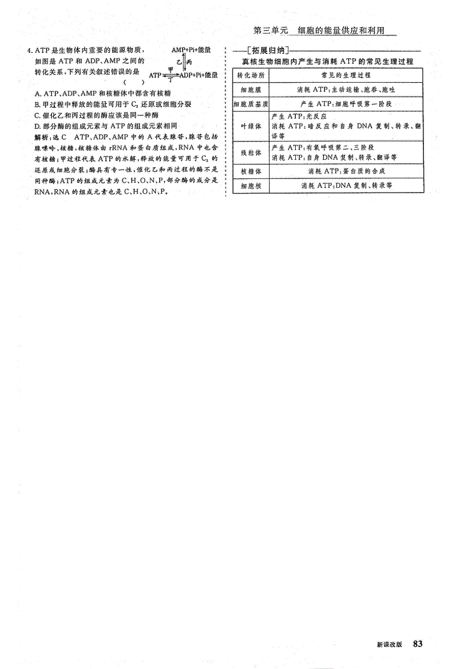 2021年高考生物一轮复习 第3单元 细胞的能量供应和利用 第2讲 ATP与细胞呼吸 考点1 ATP的结构、功能和利用教案（PDF）.pdf_第3页