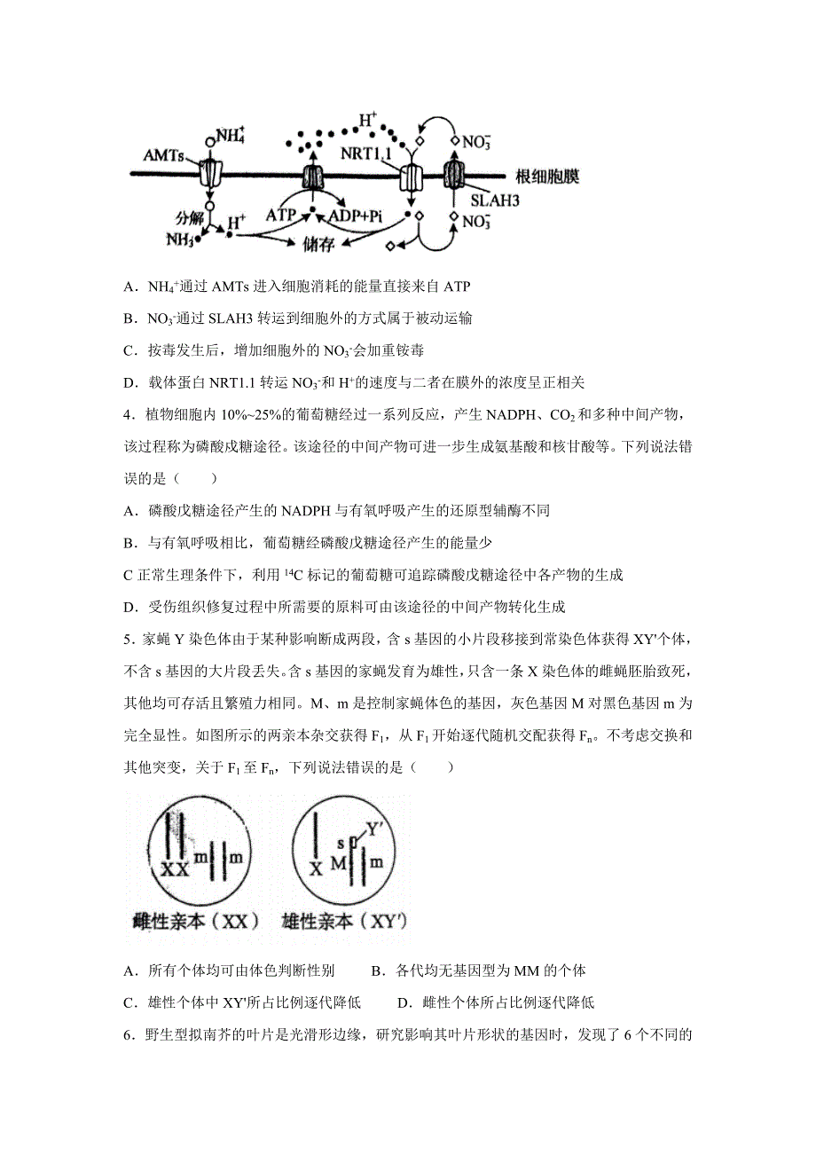 2022年高考真题——生物（山东卷） WORD版无答案.doc_第2页