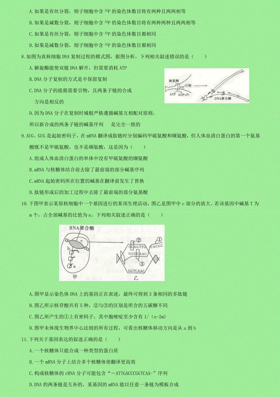 2021年高考生物专题强化练习卷《遗传的分子基础》新人教版.doc_第3页