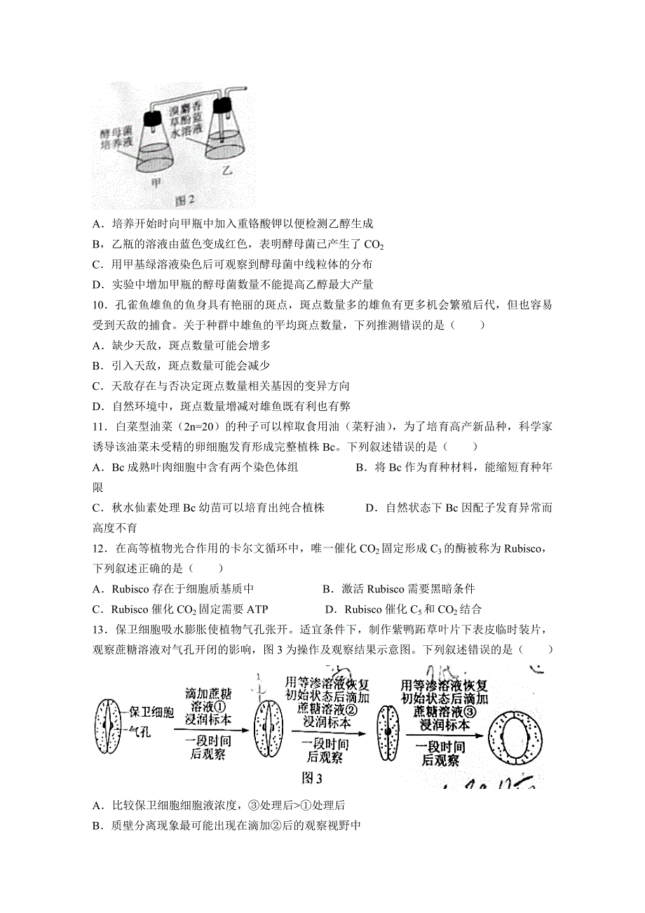 2021年高考真题—— 生物（广东卷） WORD版无答案.doc_第3页