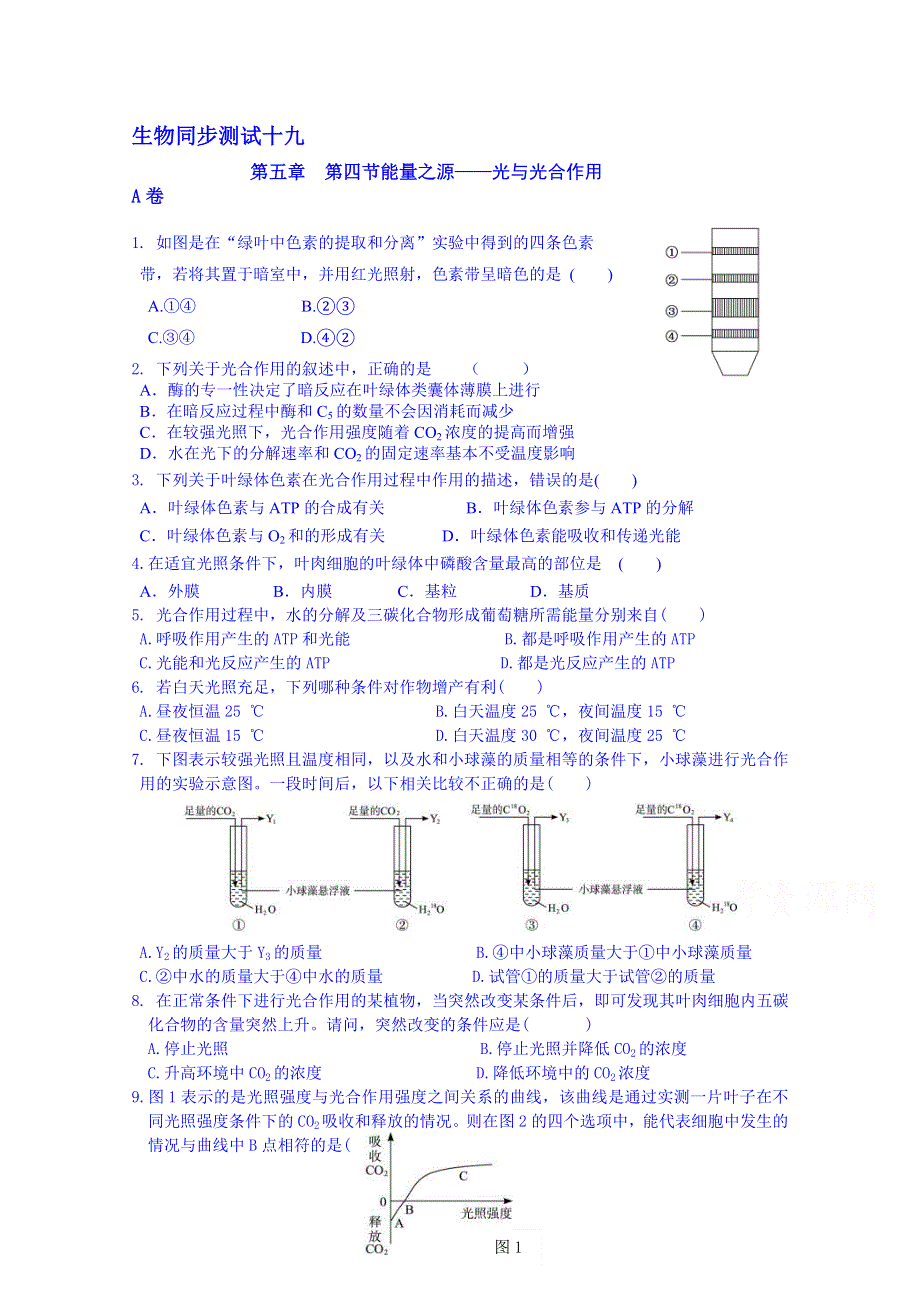 吉林省吉林市第一中学校人教版高中生物必修一 同步测试 第五章 第四节 能量之源——光与光合作用.doc_第1页