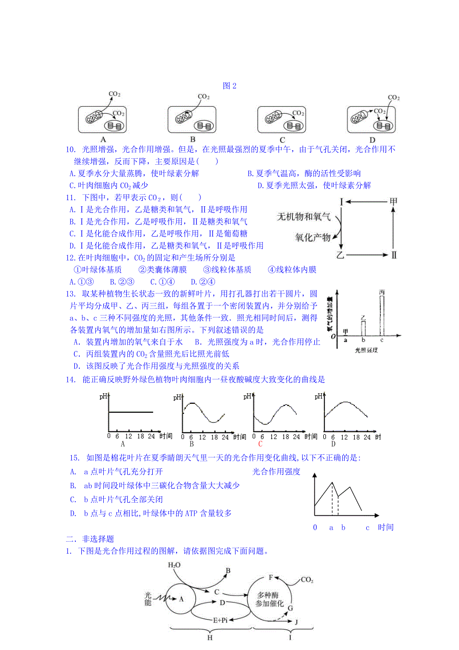 吉林省吉林市第一中学校人教版高中生物必修一 同步测试 第五章 第四节 能量之源——光与光合作用.doc_第2页