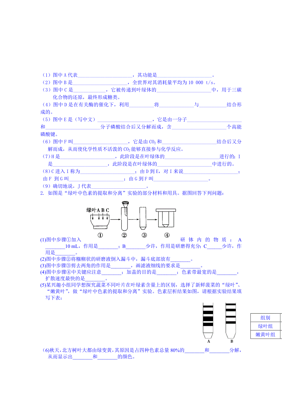 吉林省吉林市第一中学校人教版高中生物必修一 同步测试 第五章 第四节 能量之源——光与光合作用.doc_第3页