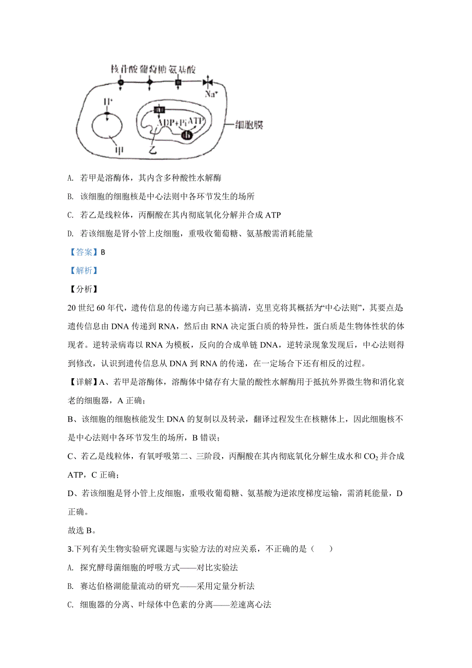 天津市十二区县重点中学2020届高三一模生物试题 WORD版含解析.doc_第2页