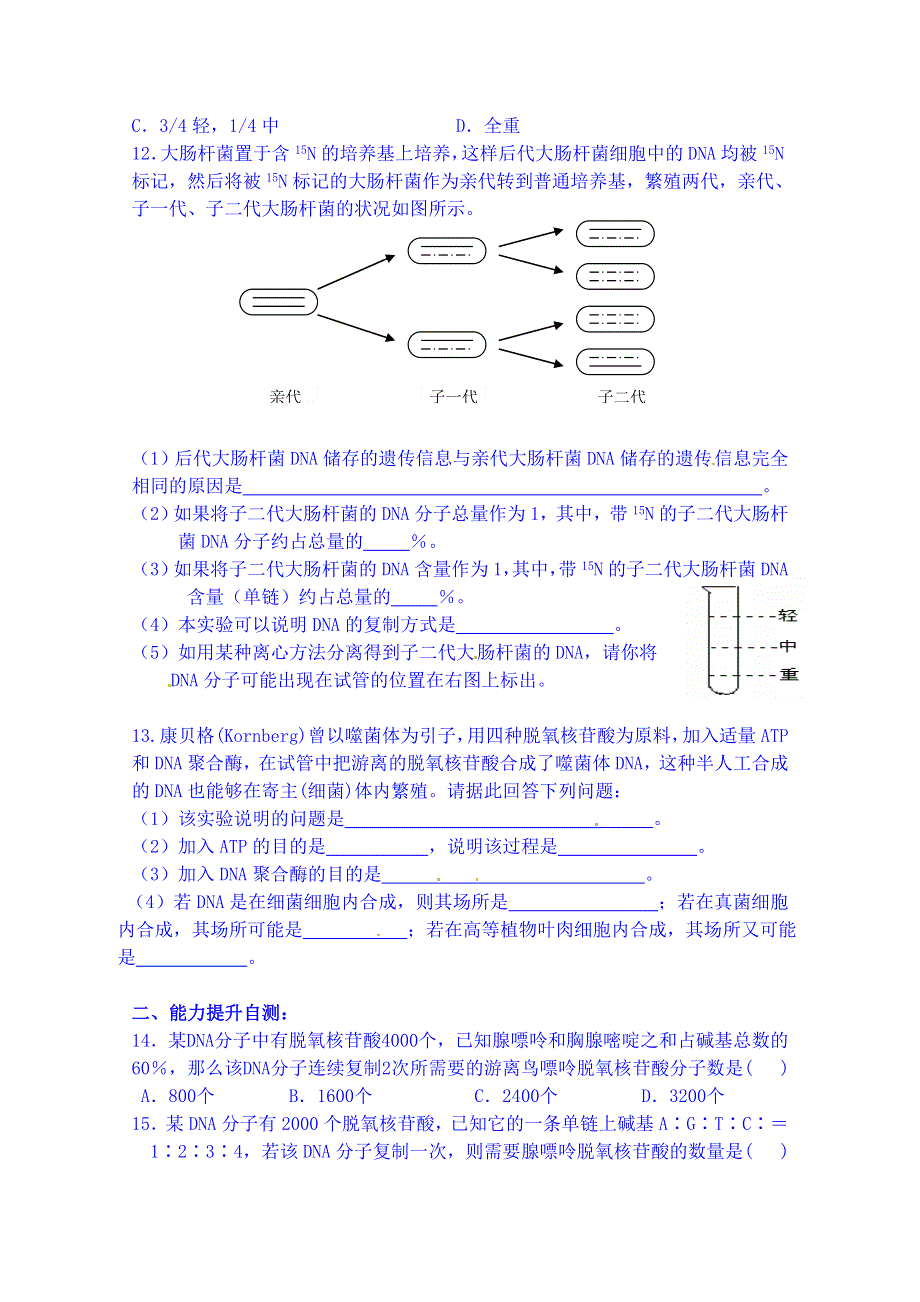 吉林省吉林市第一中学校人教版高中生物必修二练习 第三章 第三节 DNA的复制.doc_第2页