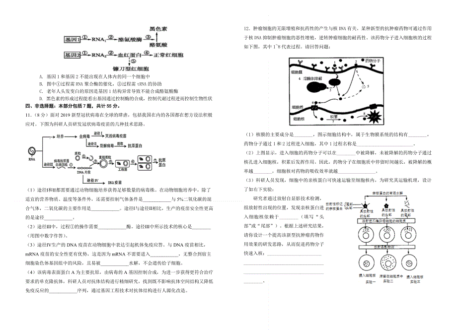 江苏省东台中学2021届高三上学期生物午练3 WORD版含答案.doc_第2页