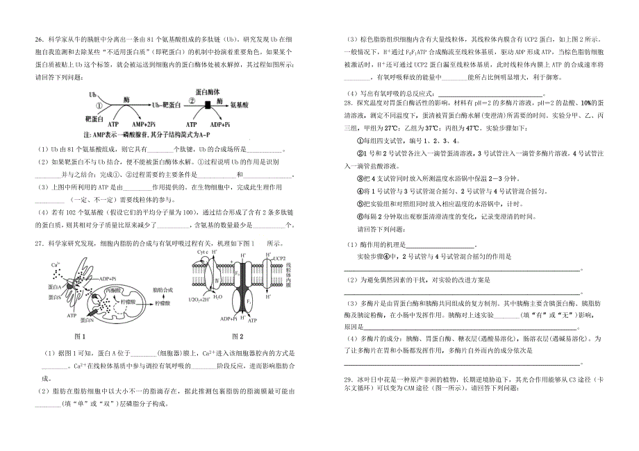 江苏省东台中学2021届高三上学期生物周练三 WORD版含答案.doc_第3页