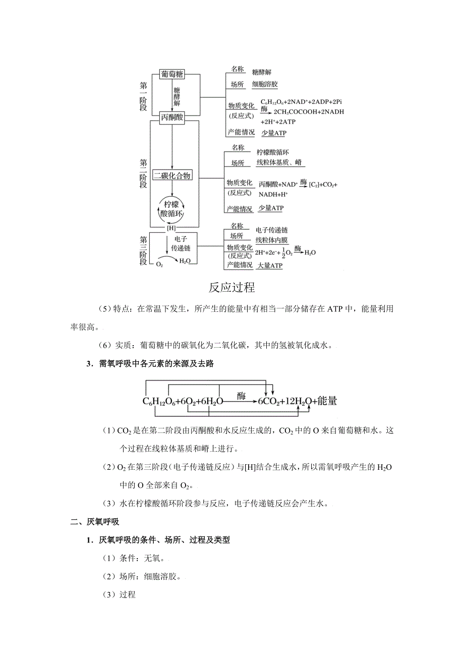 2022年高考生物一轮复习（浙江专用） 考点05 细胞呼吸 WORD版含解析.doc_第2页