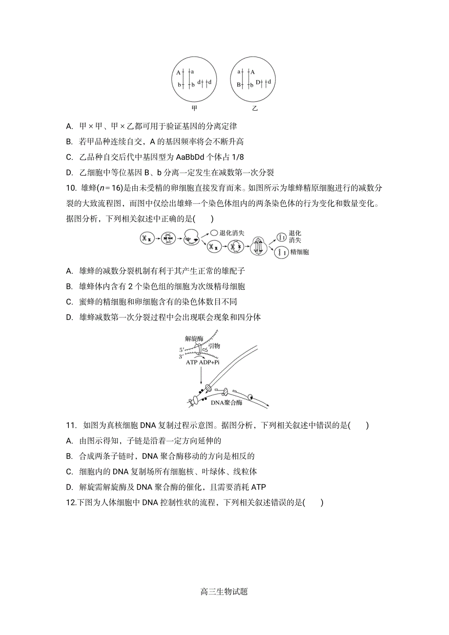 江苏省2021届高三上学期新高考质量检测模拟生物试题（新高考标准） PDF版含答案.pdf_第3页