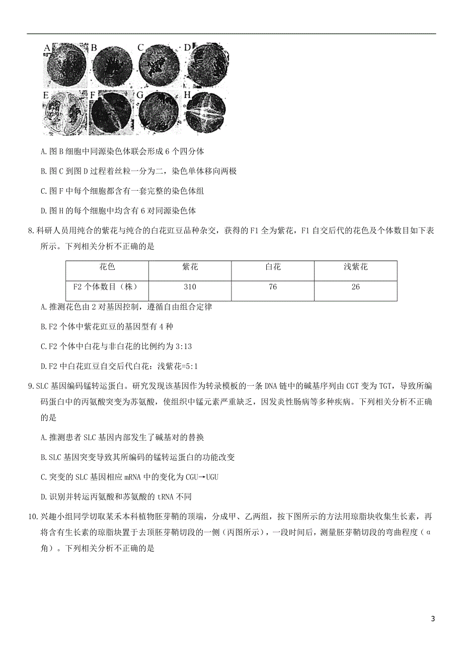 北京市海淀区2021届高三生物上学期期末练习试题.doc_第3页