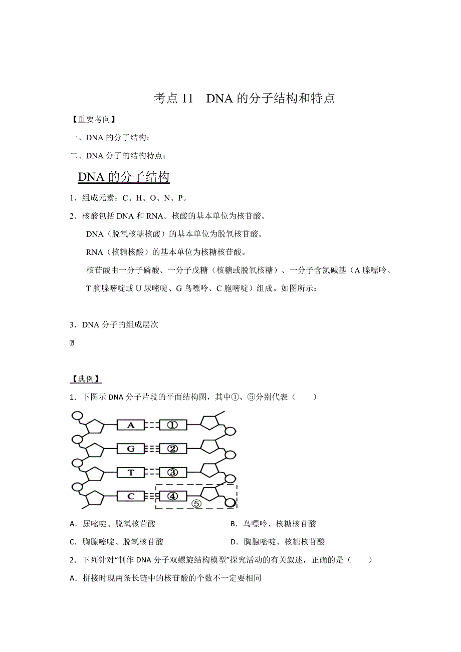 2022年高考生物一轮复习（浙江专用） 考点11 DNA的分子结构和特点 WORD版含解析.doc_第1页