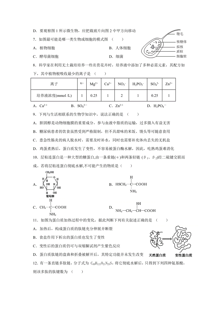 江苏省苏苑高级中学2020-2021学年高一上学期10月月考生物试题 WORD版含答案.docx_第2页