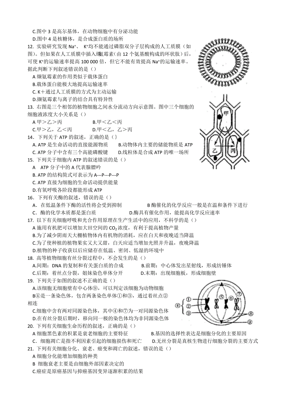 江苏省东台市创新学校2015-2016学年高二上学期11月月考生物（必修）试题 WORD版含答案.doc_第2页