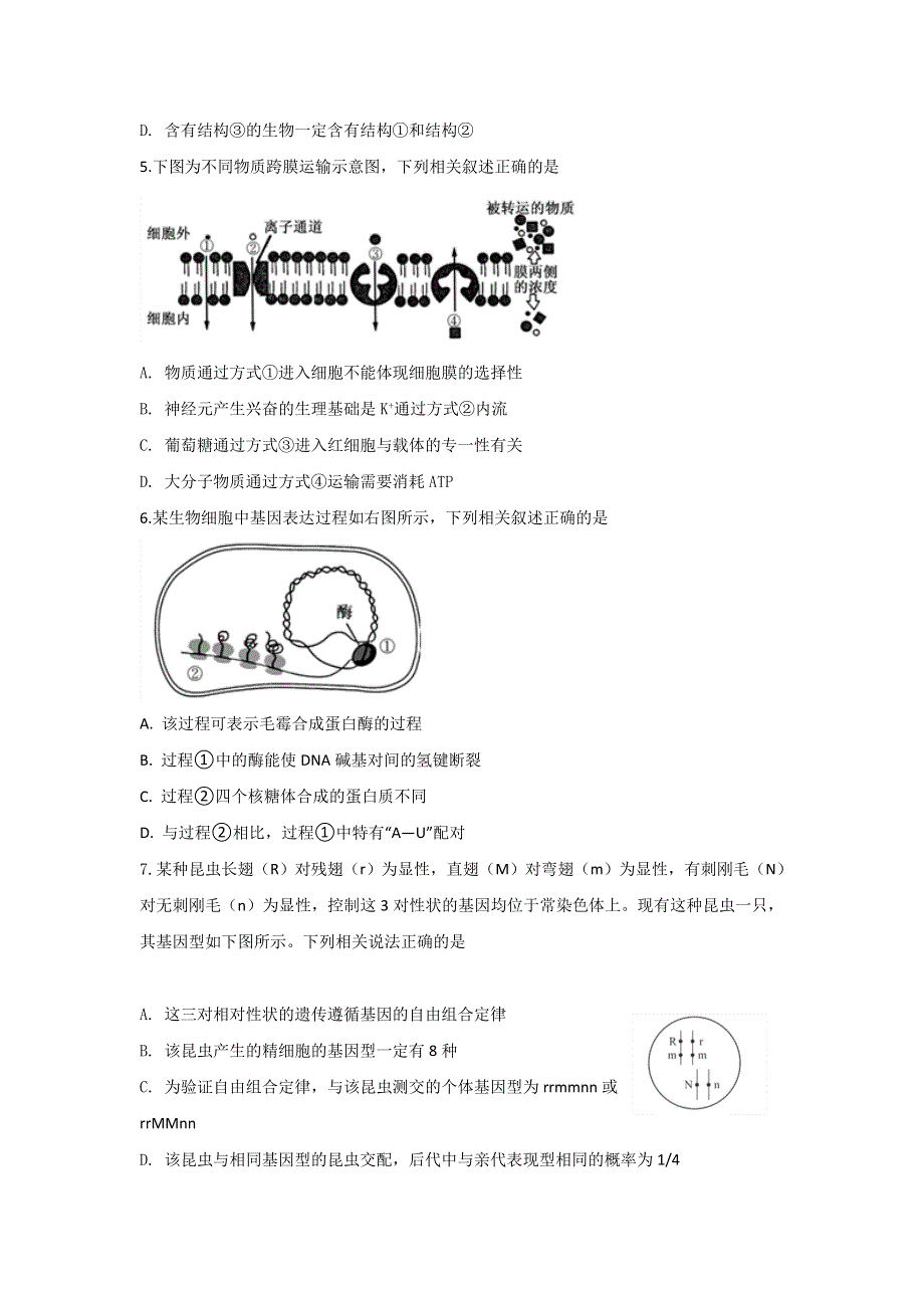 内蒙古赤峰二中2020届高三上学期第一次周考生物试题 WORD版缺答案.doc_第2页