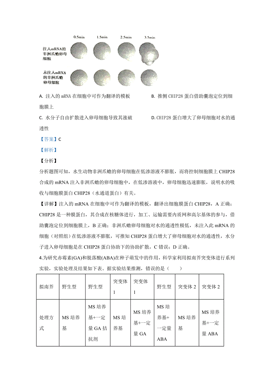 天津市南开中学2020届高三模拟生物试题 WORD版含解析.doc_第3页