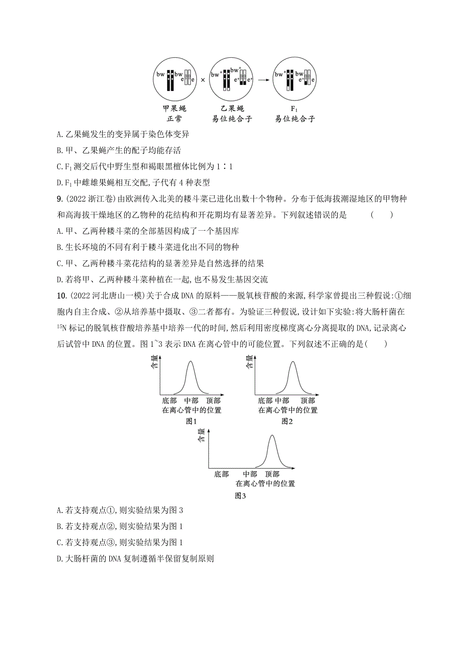 （老高考新教材适用）2023版高考生物二轮复习 专题提升练5 遗传的分子基础、变异与进化.doc_第3页