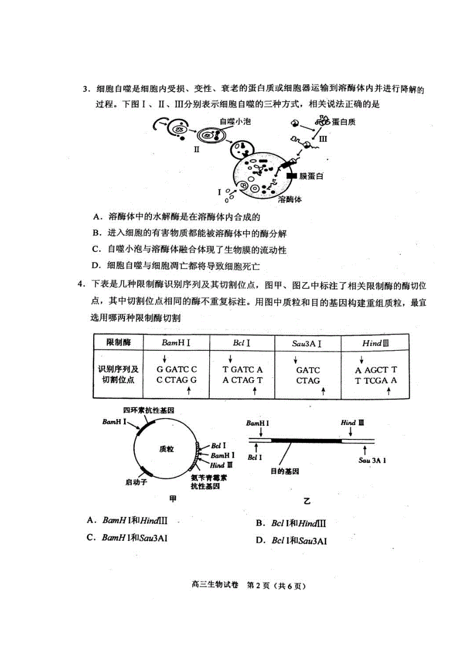 天津市南开区2017届高三上学期期末质量调查生物试题 扫描版含答案.doc_第2页