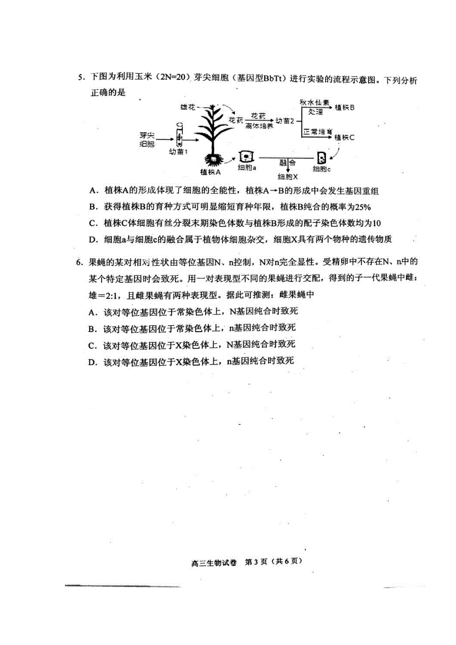 天津市南开区2017届高三上学期期末质量调查生物试题 扫描版含答案.doc_第3页