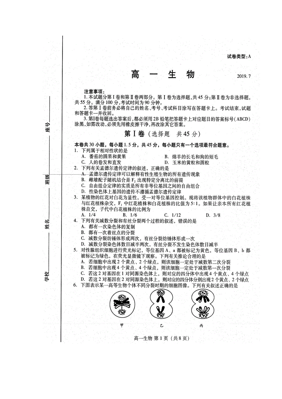 山东省潍坊市2018-2019学年高一下学期期末考试生物试题 扫描版含答案.doc_第1页