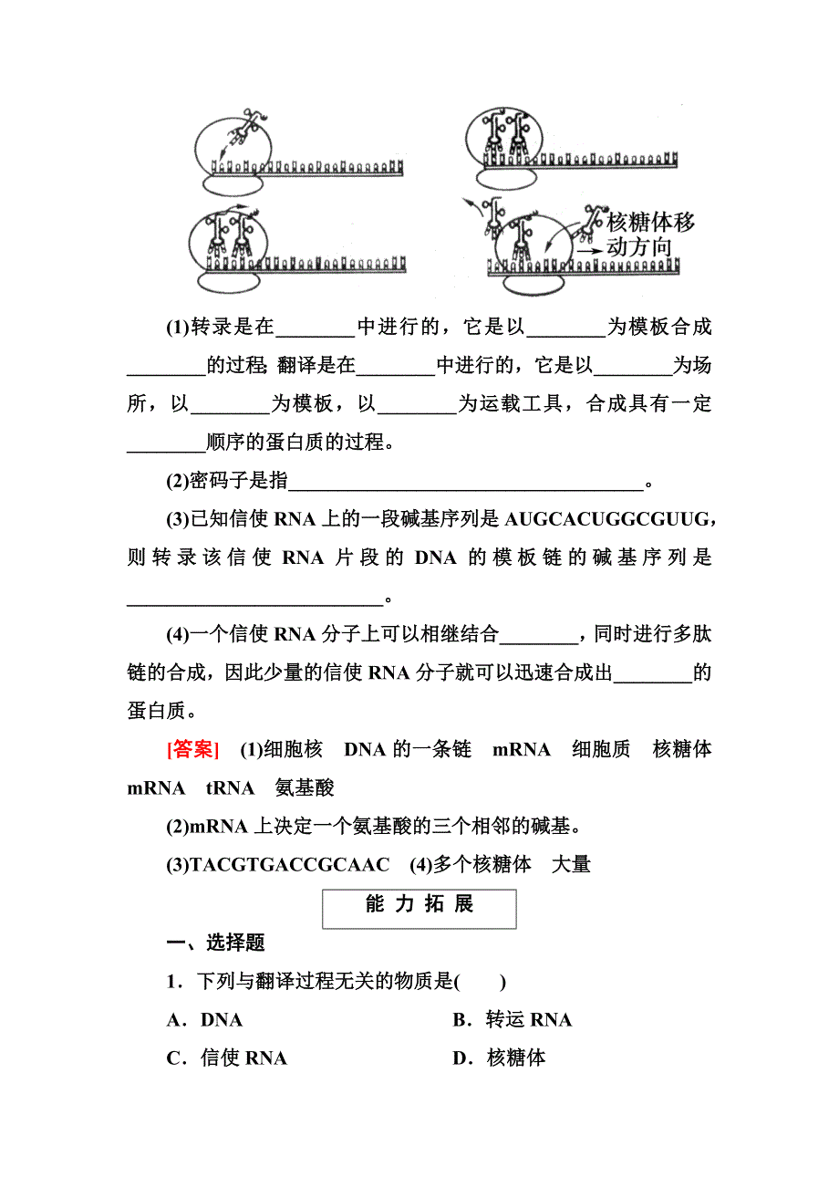 2014《成才之路》高一生物（人教版）必修2基础巩固：4-1 基因指导蛋白质的合成.doc_第3页