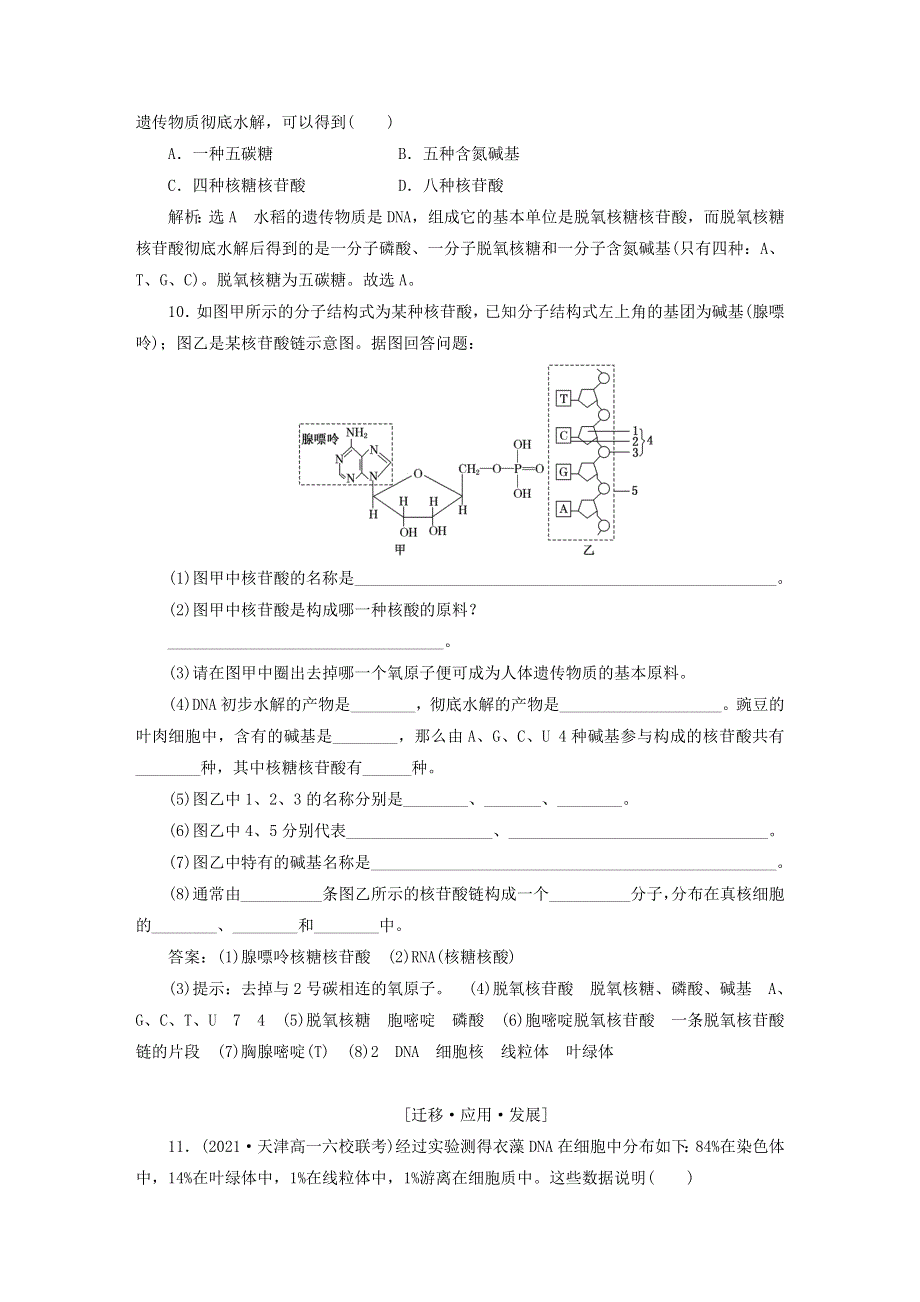 2022新教材高中生物 课时跟踪检测（八）核酸是遗传信息的携带者 新人教版必修1.doc_第3页