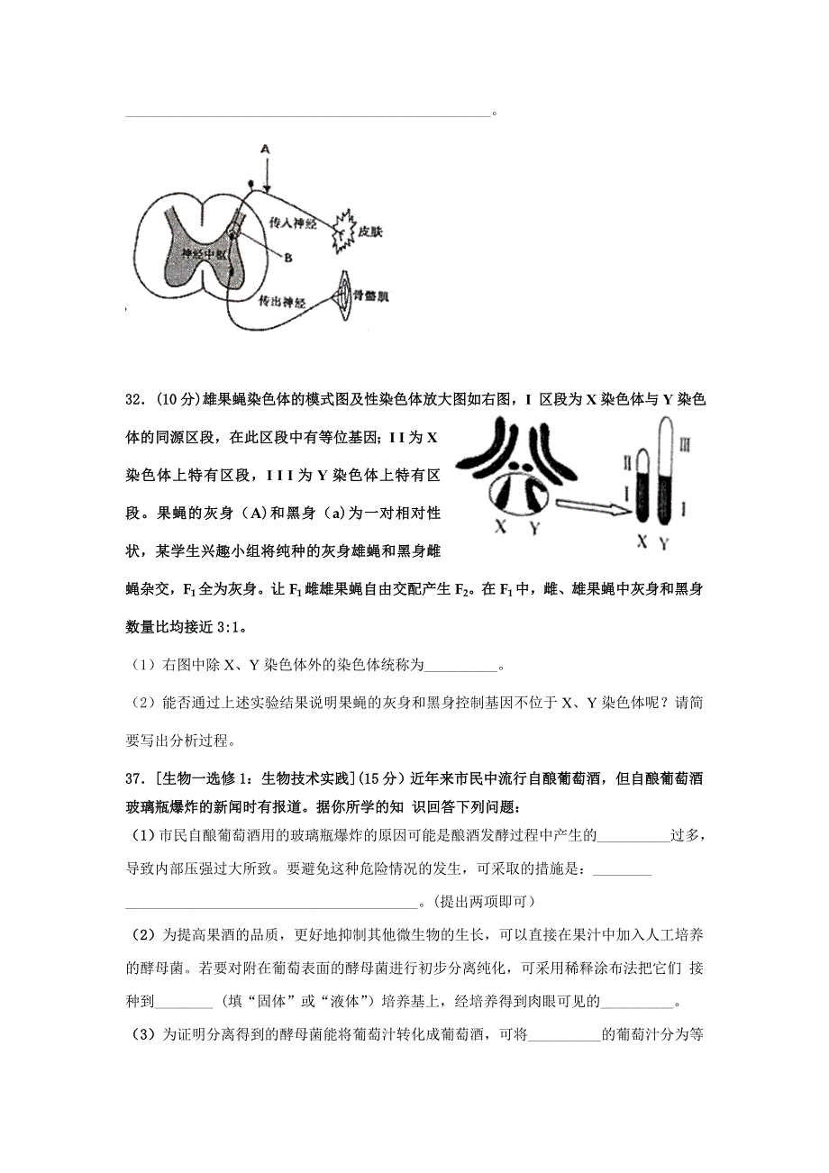 广东省江门市2017届高三上学期12月调研测试理综生物试题 WORD版含答案.doc_第3页