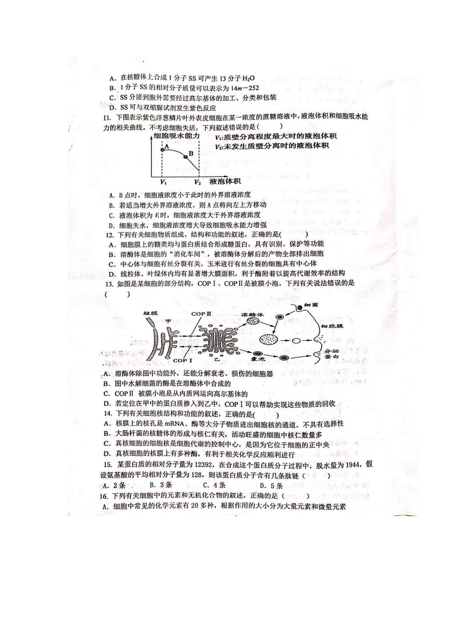 江西省万年中学2020-2021学年高一上学期期中考试生物试卷 图片版含答案.docx_第3页