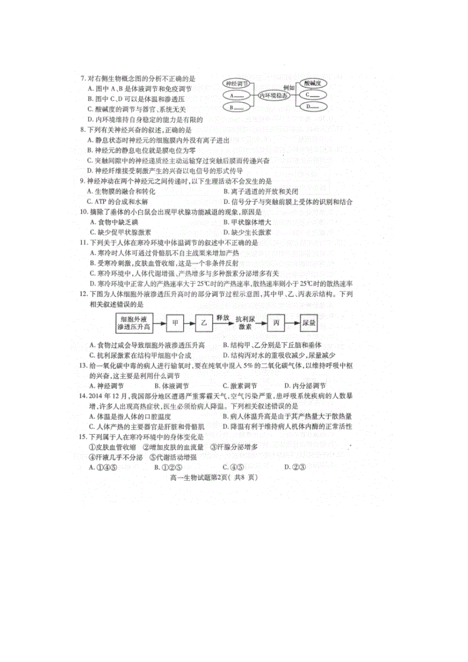 山东省济宁市2014-2015学年高一下学期期末考试生物试题 扫描版无答案.doc_第2页