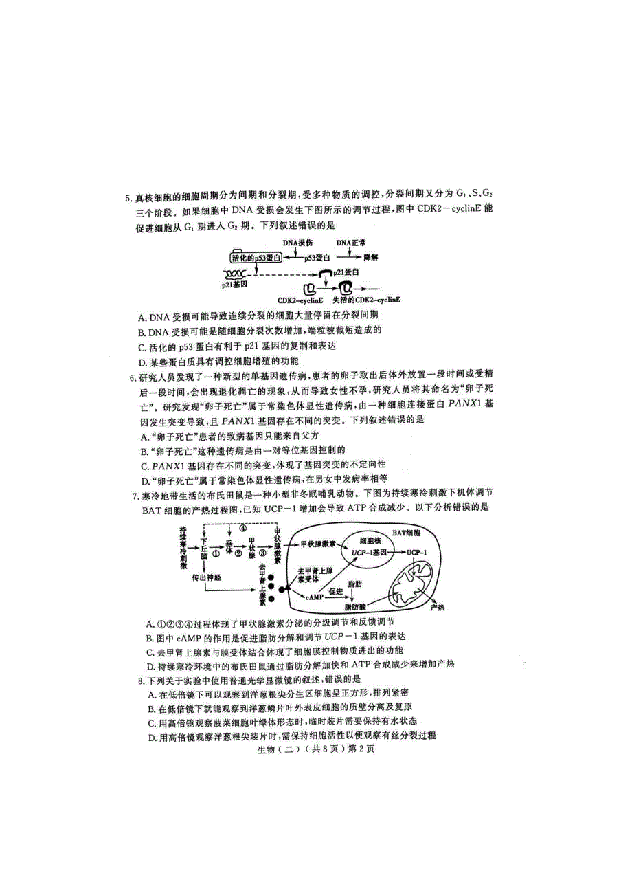 山东省聊城市2021届高三下学期4月高考模拟（二）（二模）生物试题 扫描版含答案.docx_第2页