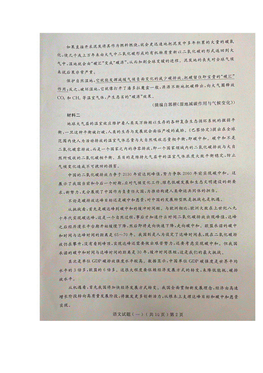 山东省聊城市2021届高三语文下学期第一次模拟试题（PDF）.pdf_第2页