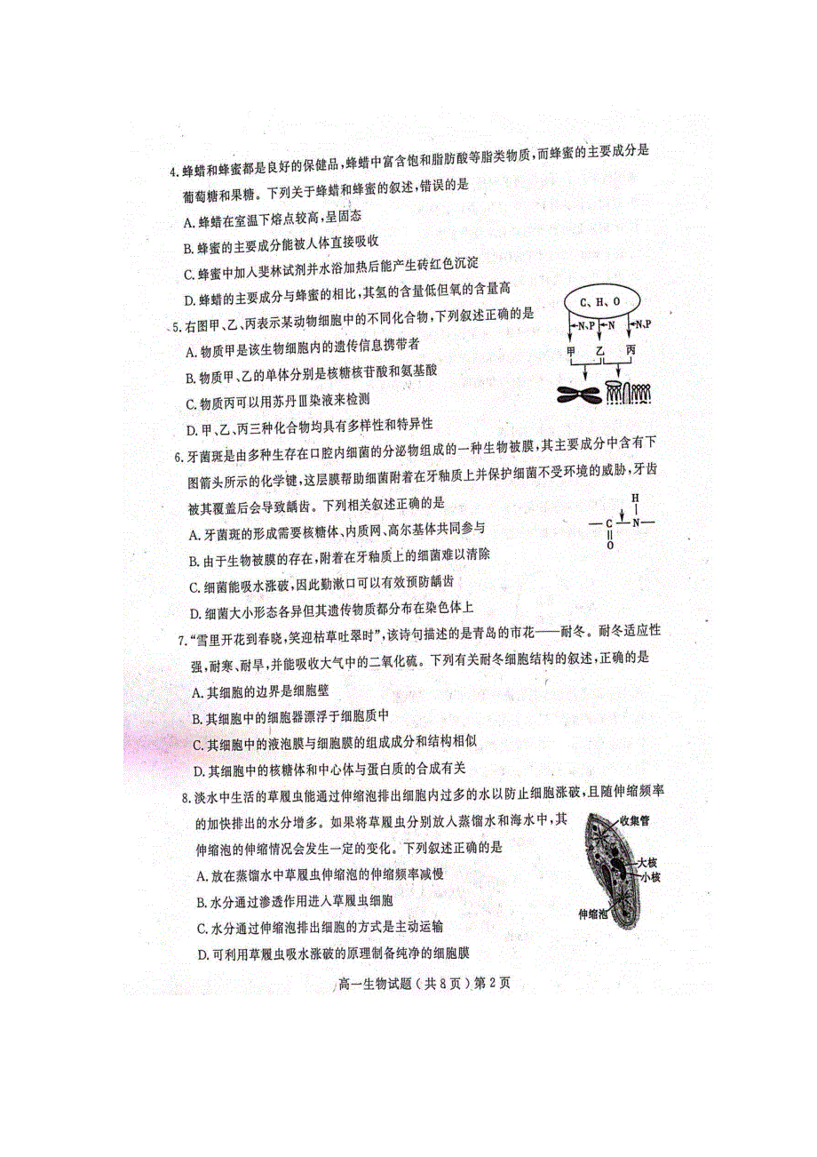 山东省聊城第一中学2021-2022学年高一上学期期末考试 生物 扫描版含答案.docx_第2页