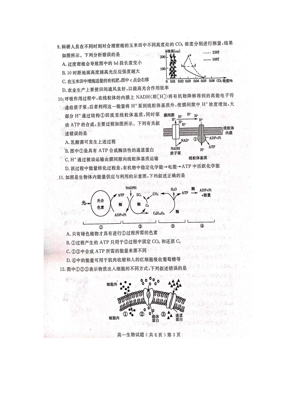 山东省聊城第一中学2021-2022学年高一上学期期末考试 生物 扫描版含答案.docx_第3页