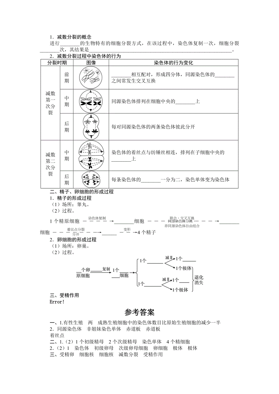 山东省济宁市2015届高三生物复习：2-1减数分裂.doc_第2页