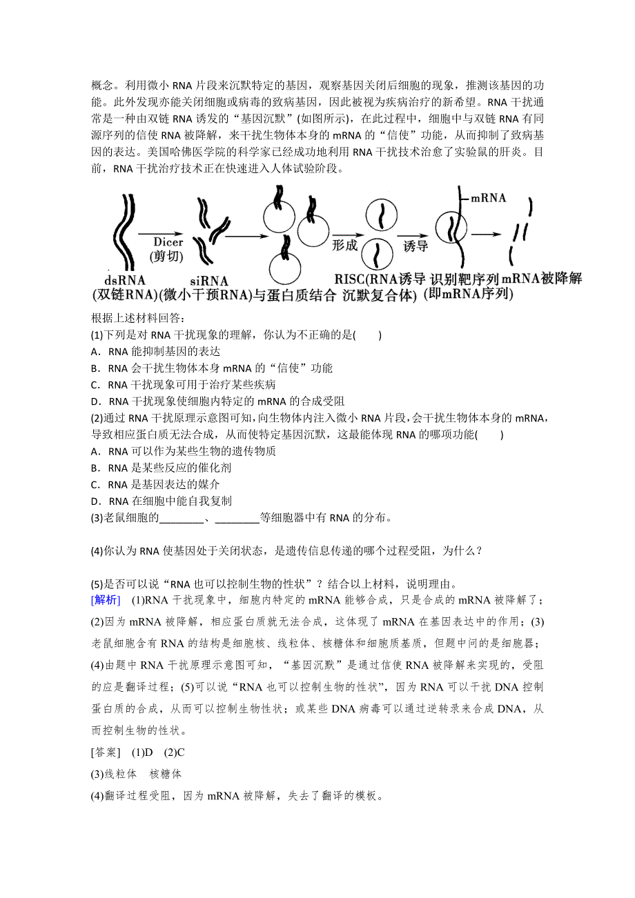 山东省济宁市2015届高三生物复习：2-10基因对性状的控制.doc_第2页