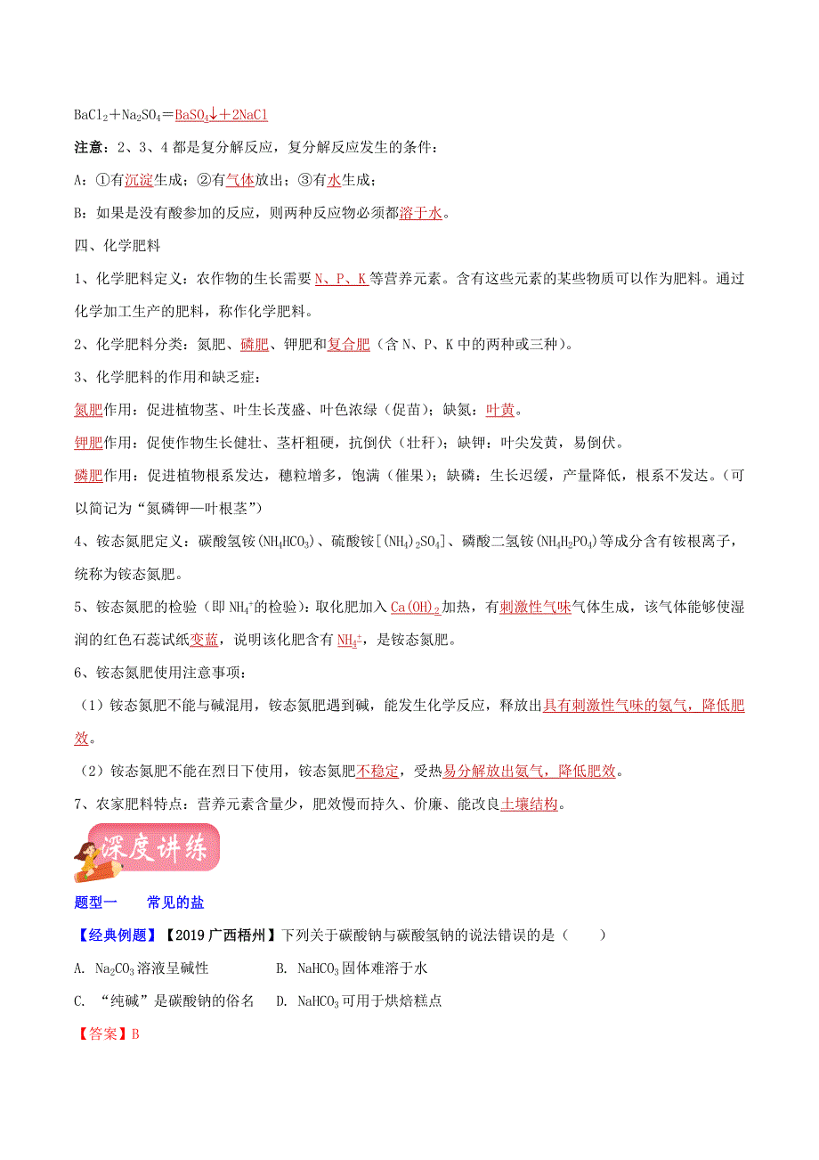 2021年中考化学一轮复习 盐和化肥考点讲解（含解析）.doc_第3页