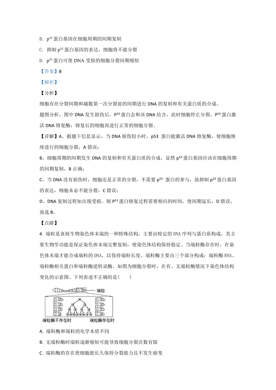 内蒙古包头市北重三中2019-2020学年高一下学期期中考试生物试卷 WORD版含解析.doc_第3页