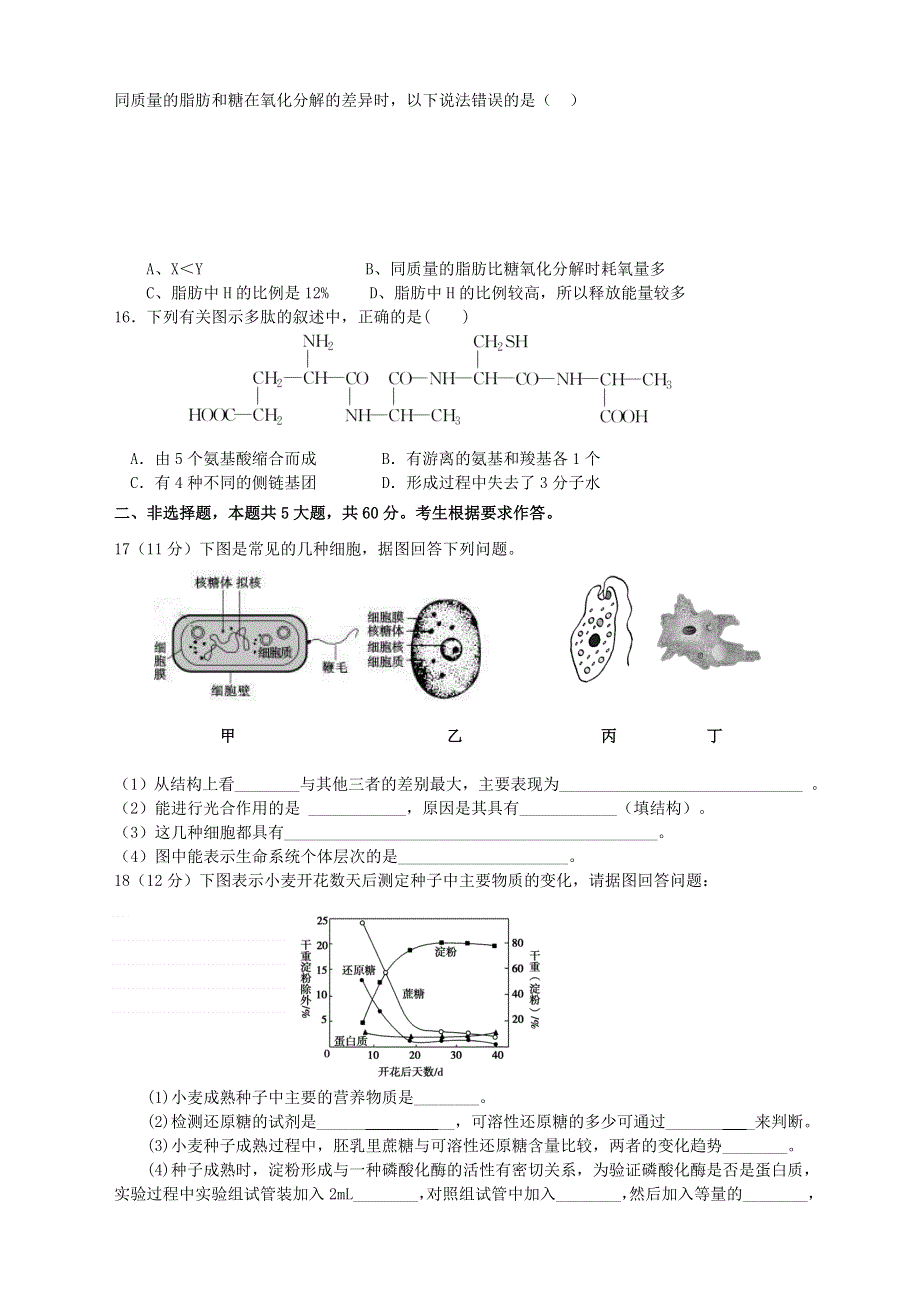 广东省揭阳市揭西县河婆中学2020-2021学年高一上学期第一次月考生物试题 WORD版含答案.doc_第3页