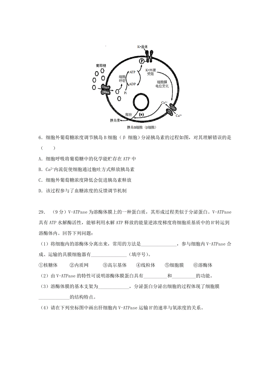 四川省阆中中学2021届高三生物上学期开学考试试题.doc_第2页