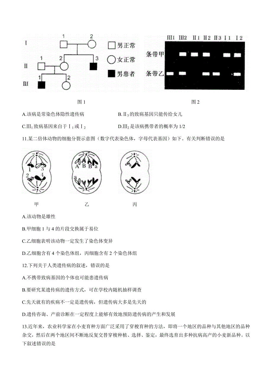 山东省菏泽市（一中系列）2020-2021学年高一下学期期末考试生物试题（A） WORD版含答案.docx_第3页