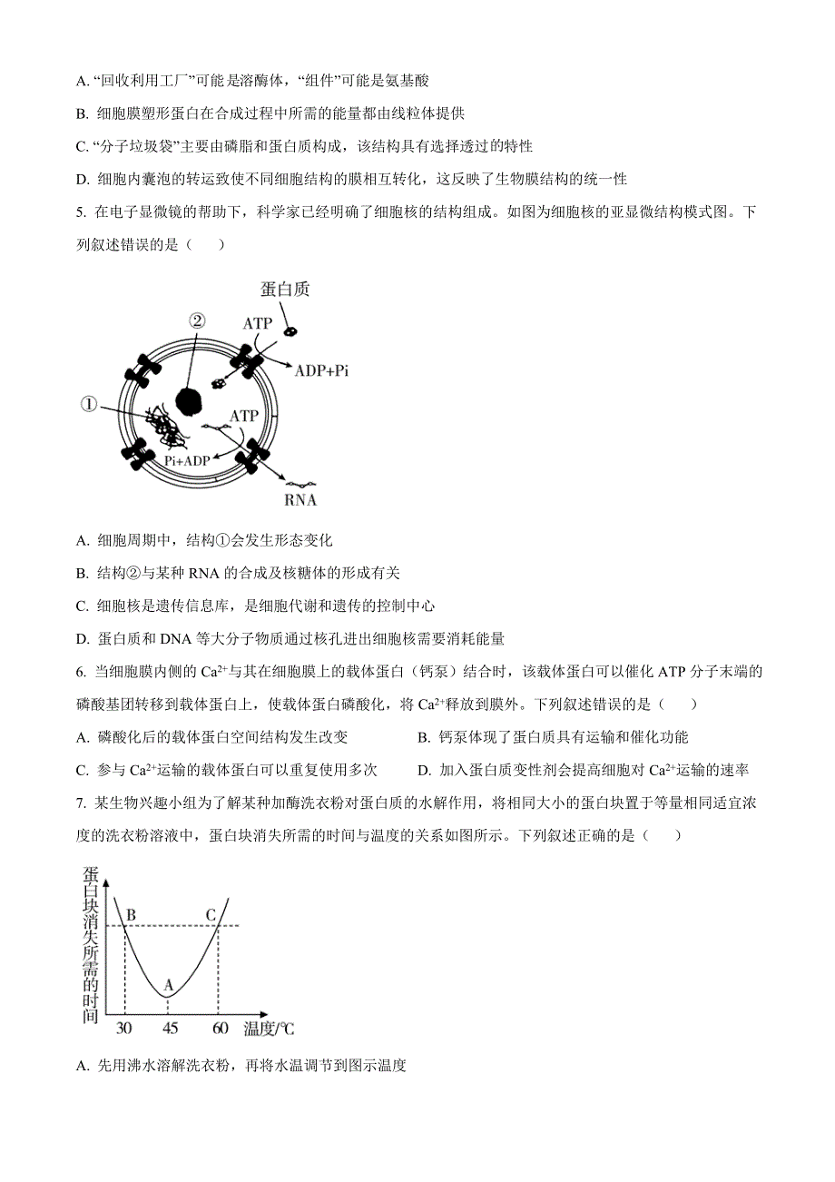 山东省济宁市2020-2021学年高一下学期期末考试生物试题 WORD版含答案.doc_第2页