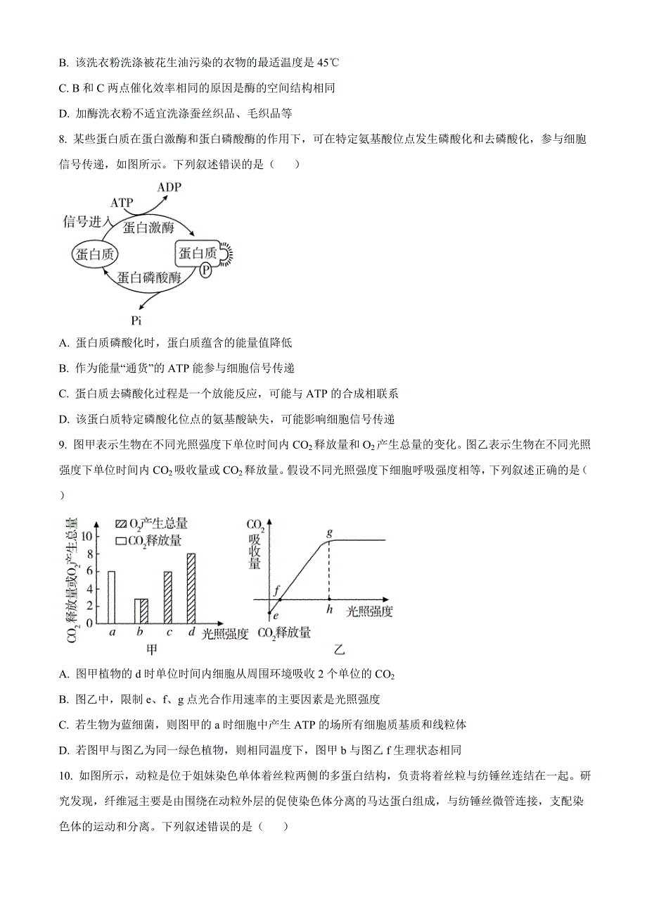 山东省济宁市2020-2021学年高一下学期期末考试生物试题 WORD版含答案.doc_第3页