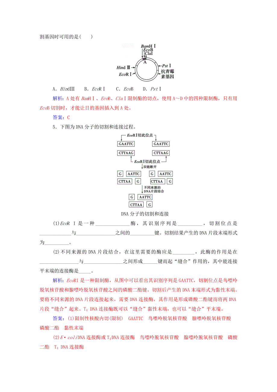 2020高中生物 专题1 基因工程 1 DNA重组技术的基本工具达标训练（含解析）新人教版选修3.doc_第2页