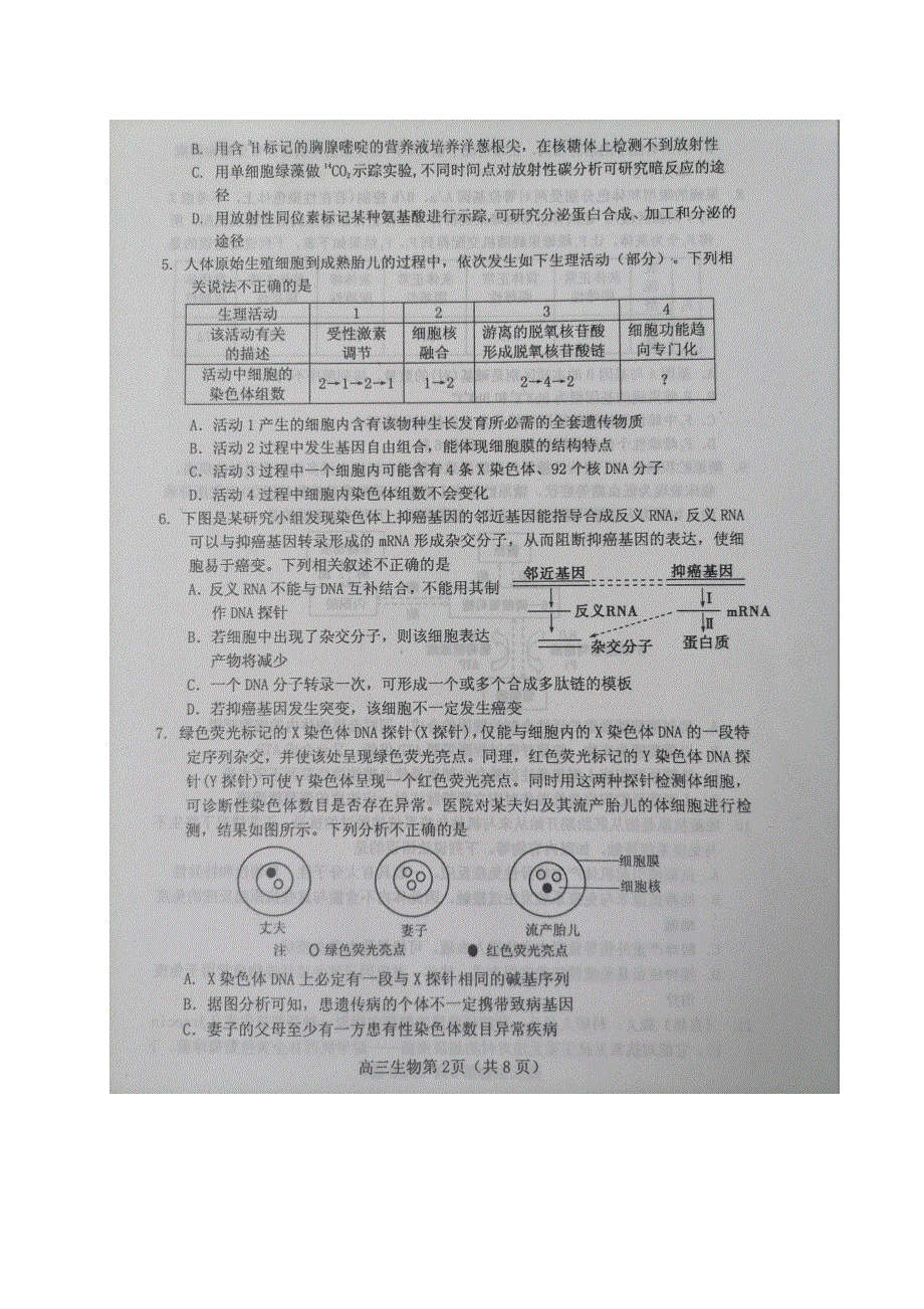 山东省烟台市2020届高三高考适应性练习（二）生物试题 图片版 扫描版含答案.docx_第2页