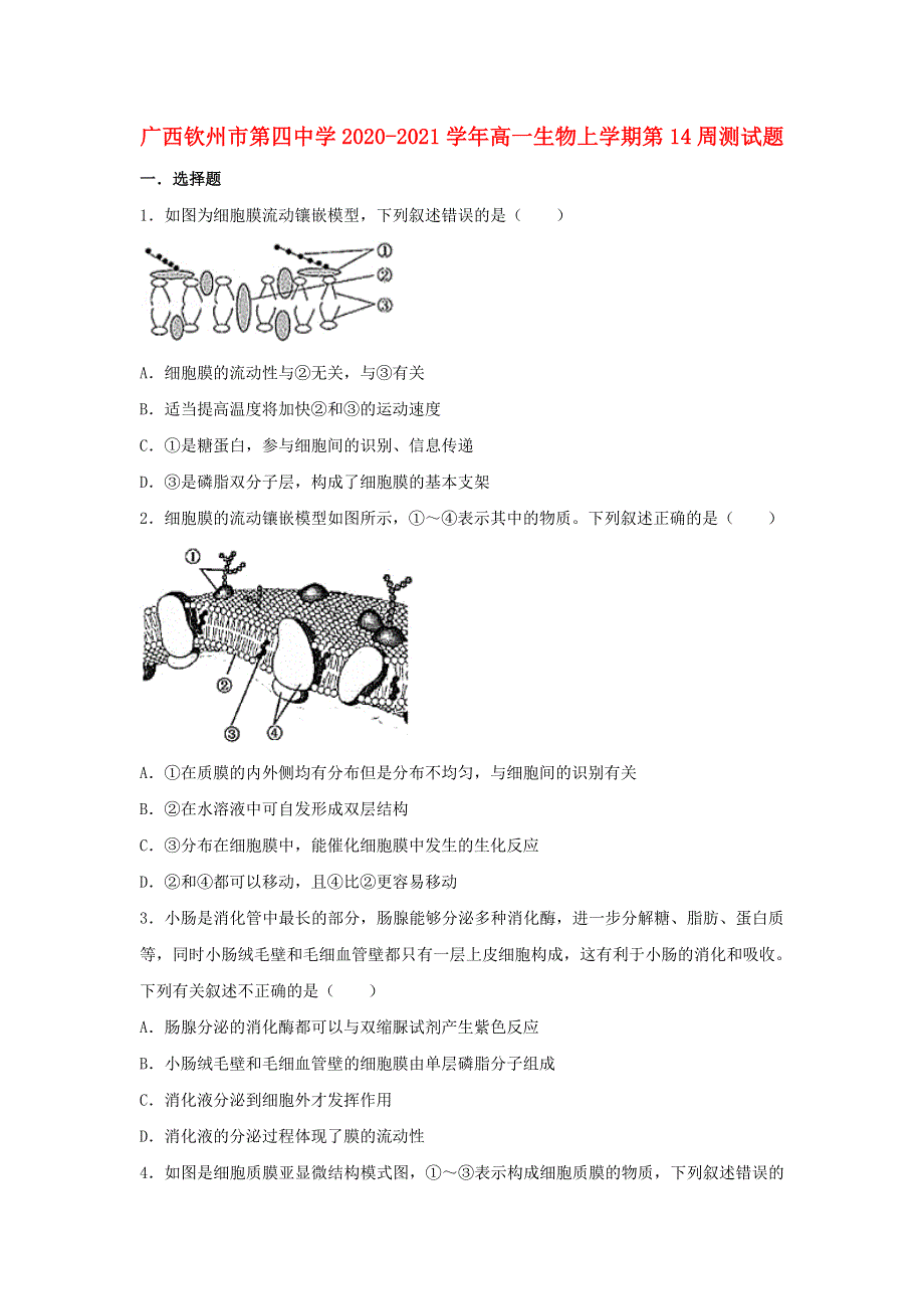 广西钦州市第四中学2020-2021学年高一生物上学期第14周测试题.doc_第1页