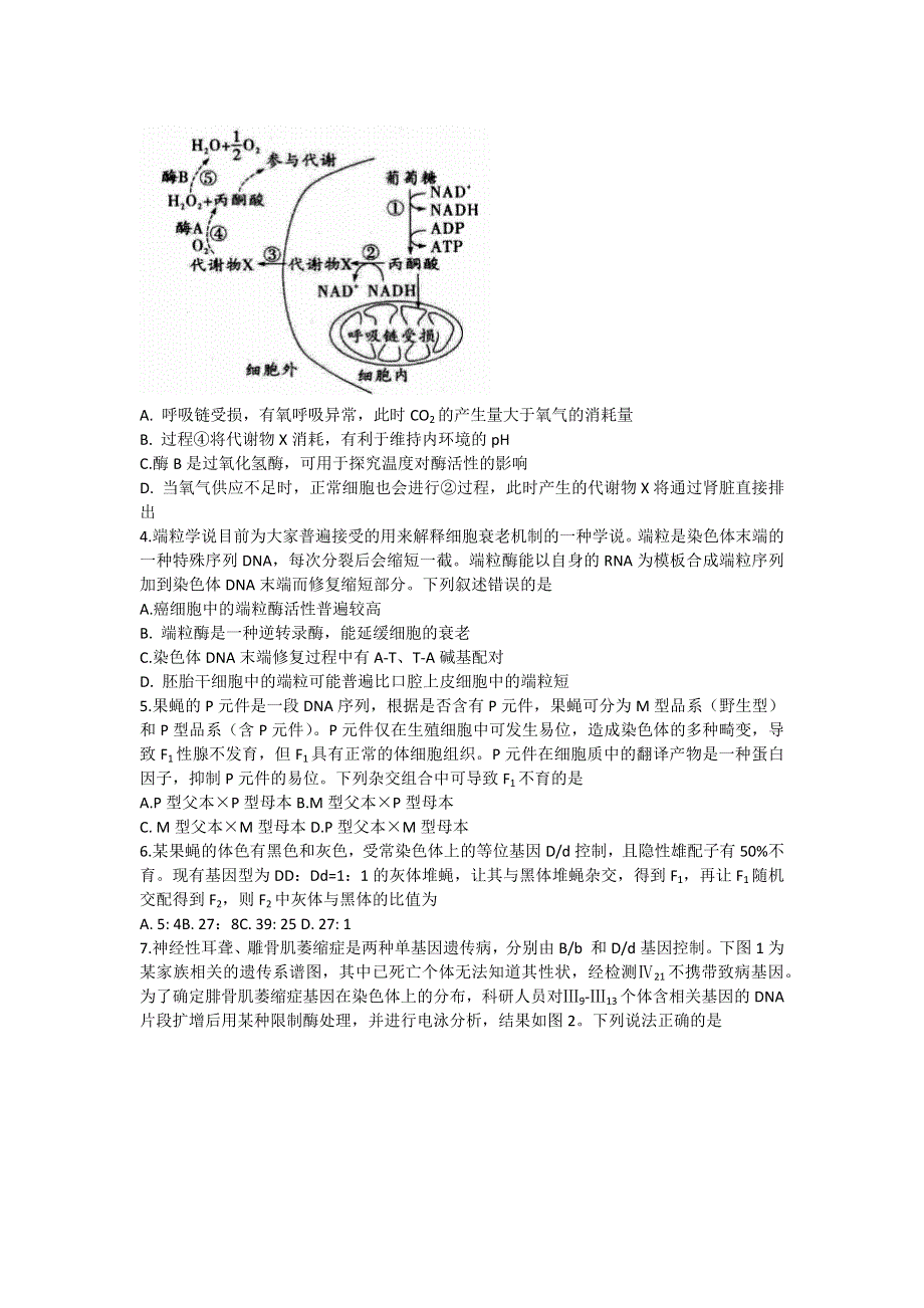 山东省百校联盟大联考（中学联盟）2022-2023学年高三12月月考试题 生物 WORD版含解析.docx_第2页