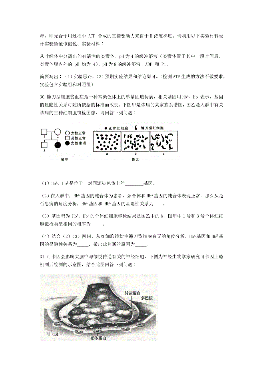 内蒙古包头市2021届高三生物上学期期末考试试题.doc_第3页